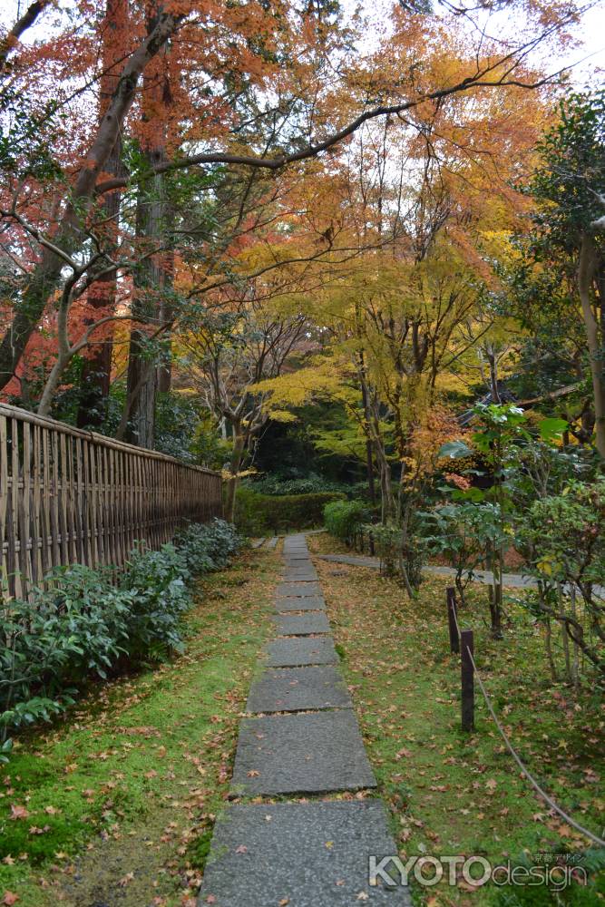 来迎院　参道の紅葉