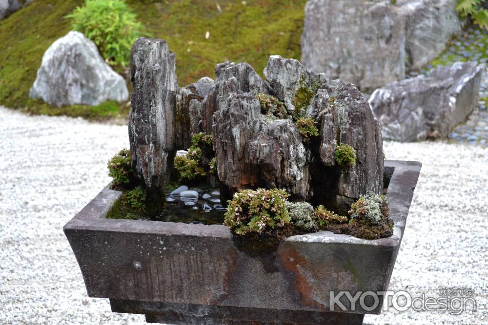 霊雲院　遺愛石