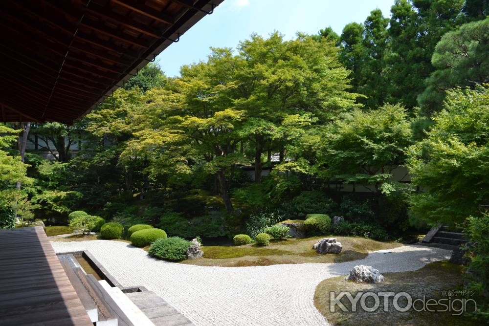 泉涌寺　御座所庭園　青もみじ