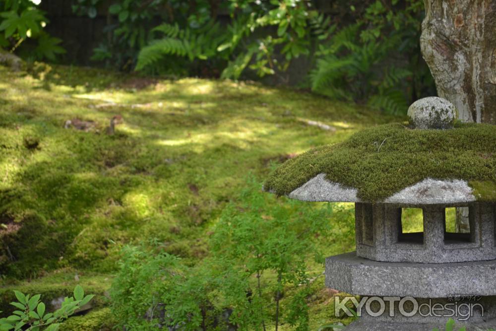 泉涌寺　御座所庭園　灯篭