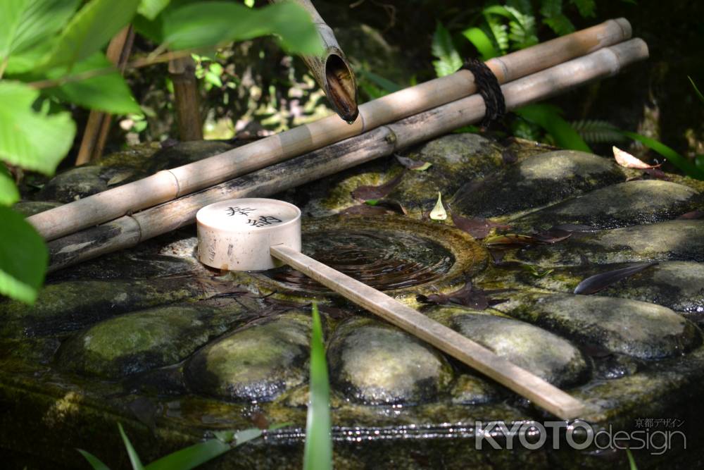 泉涌寺　御座所庭園　手水鉢