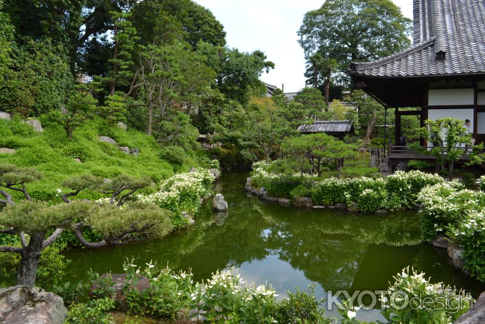 両足院　半夏生の庭園