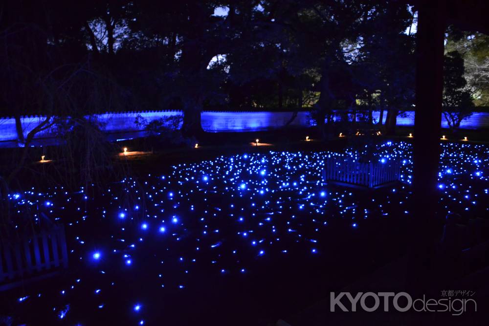 青蓮院　夜の特別拝観