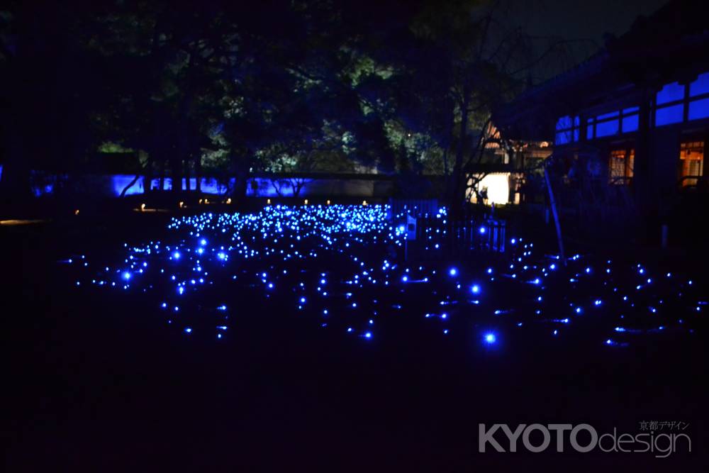 青蓮院　青の光