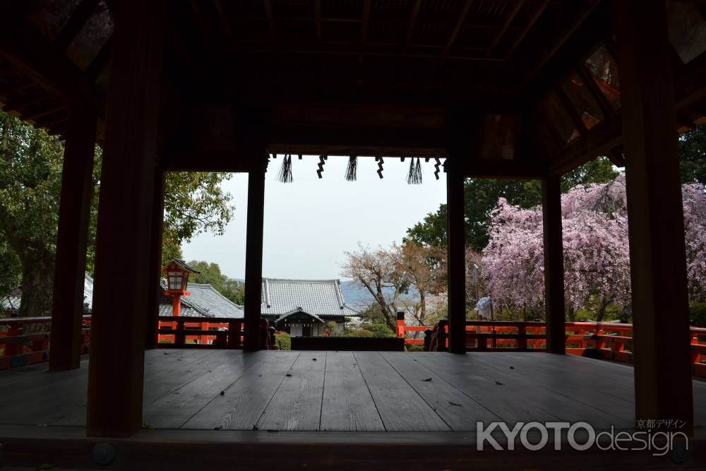 建勲神社　舞台と桜