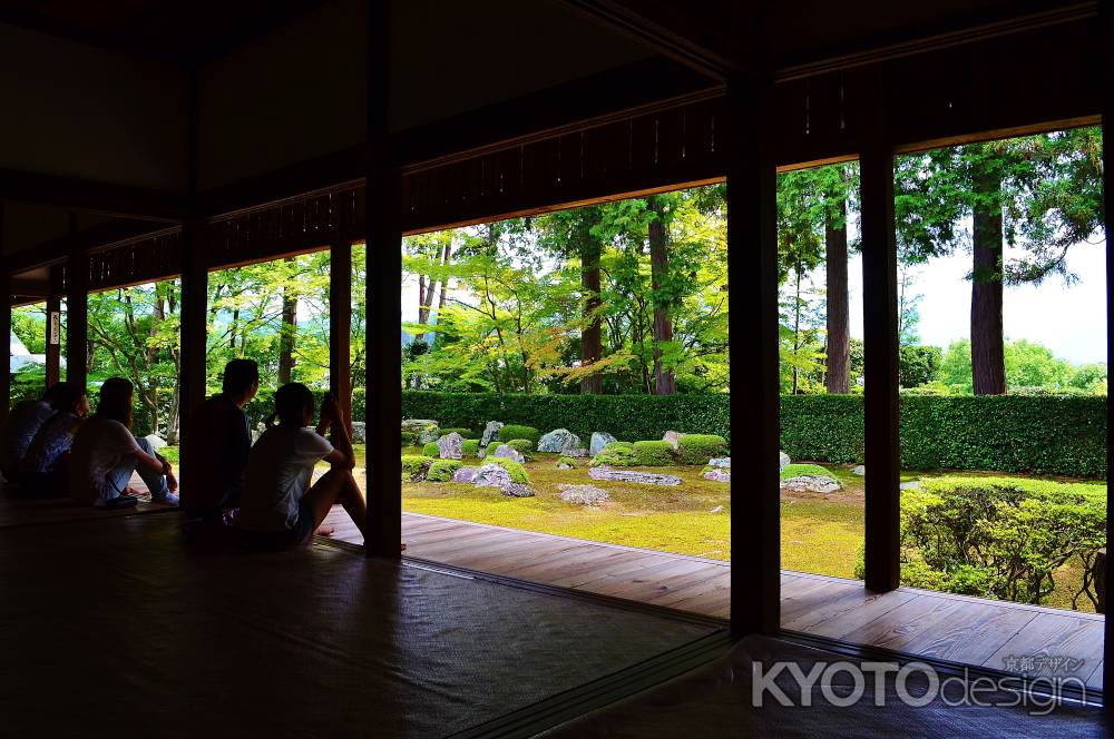 洛北の青もみじを楽しむ　圓通寺