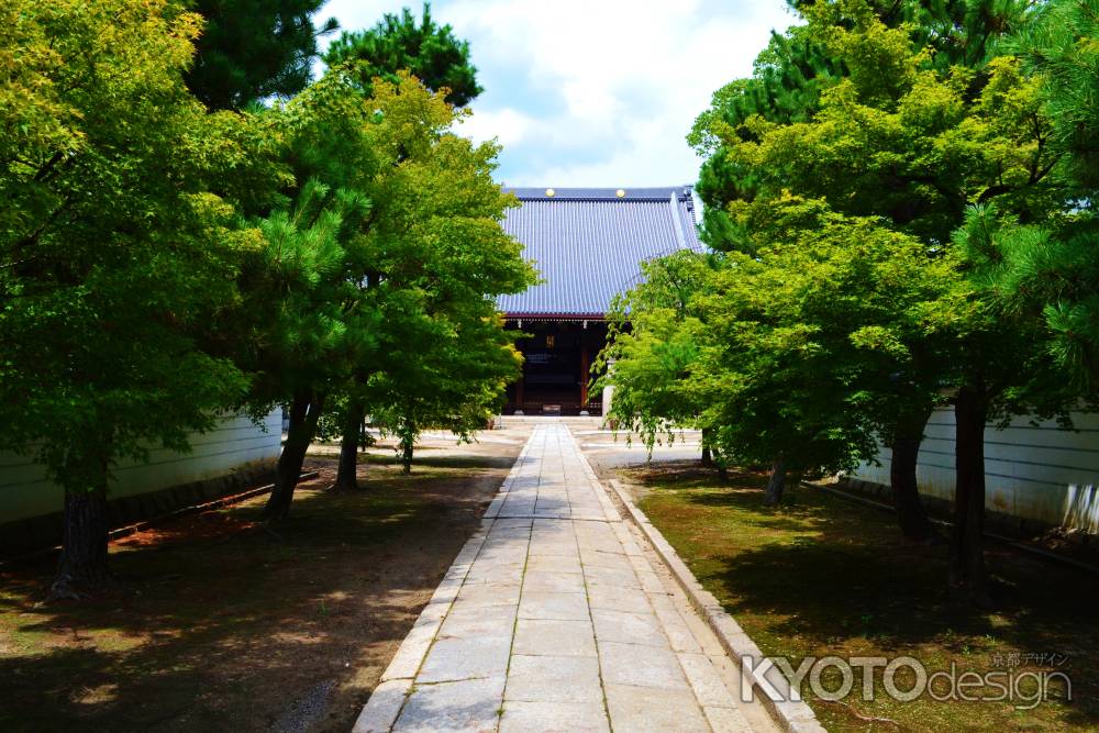 緑の参道　妙顕寺