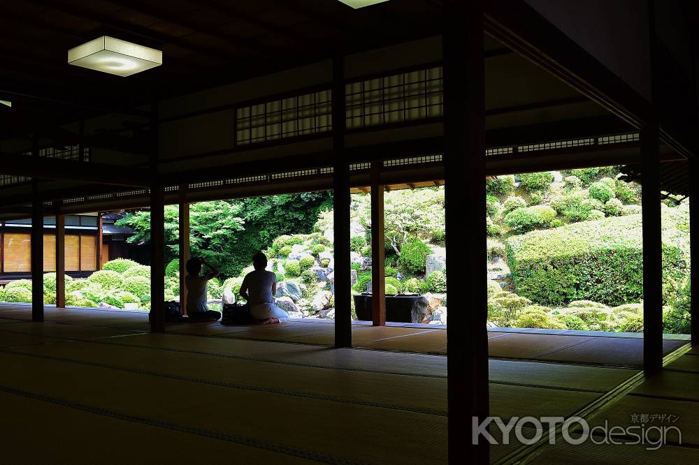 庭園を楽しむ　智積院　庭園