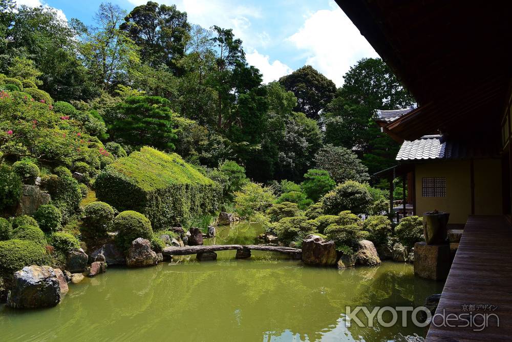 智積院　夏の庭園