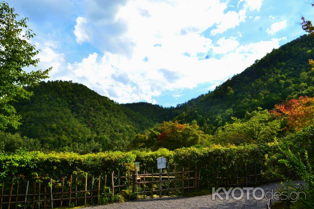 鷹峯三山