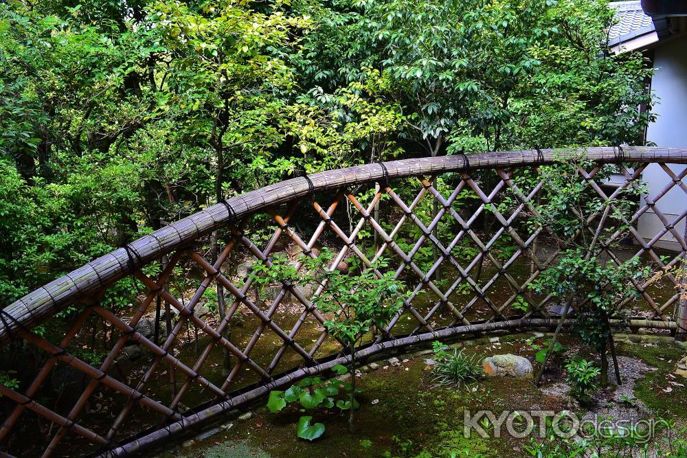 三つ巴の庭　光悦垣