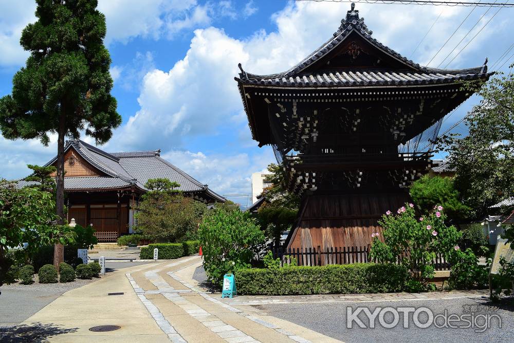 妙蓮寺　鐘楼と本堂