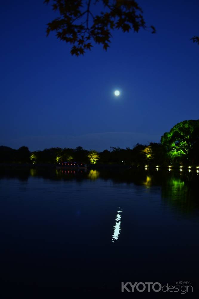 大覚寺　観月の夕べ