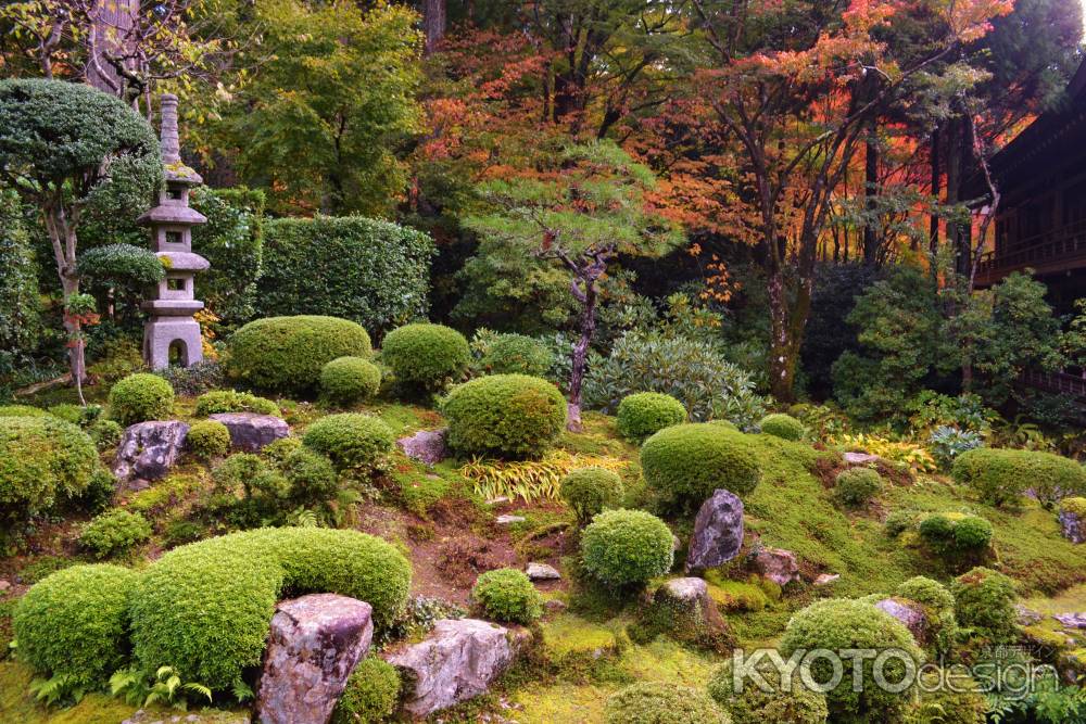 三千院　緑あふれる庭園