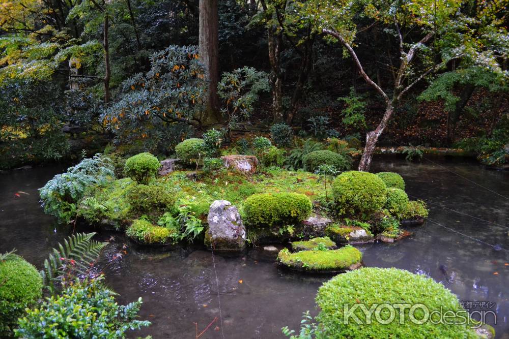 三千院　有清園の池