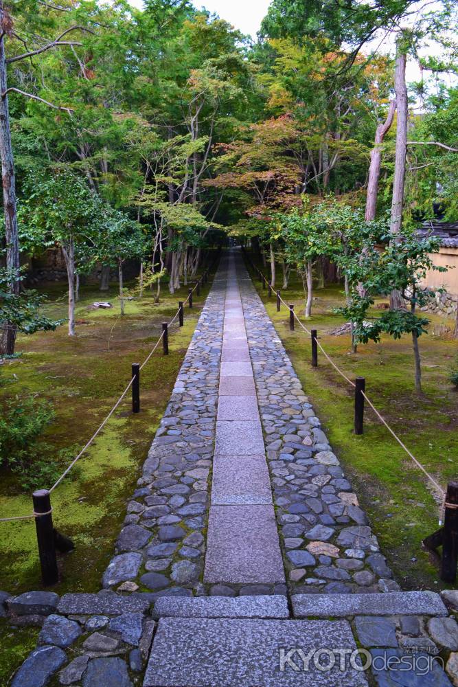 緑の参道