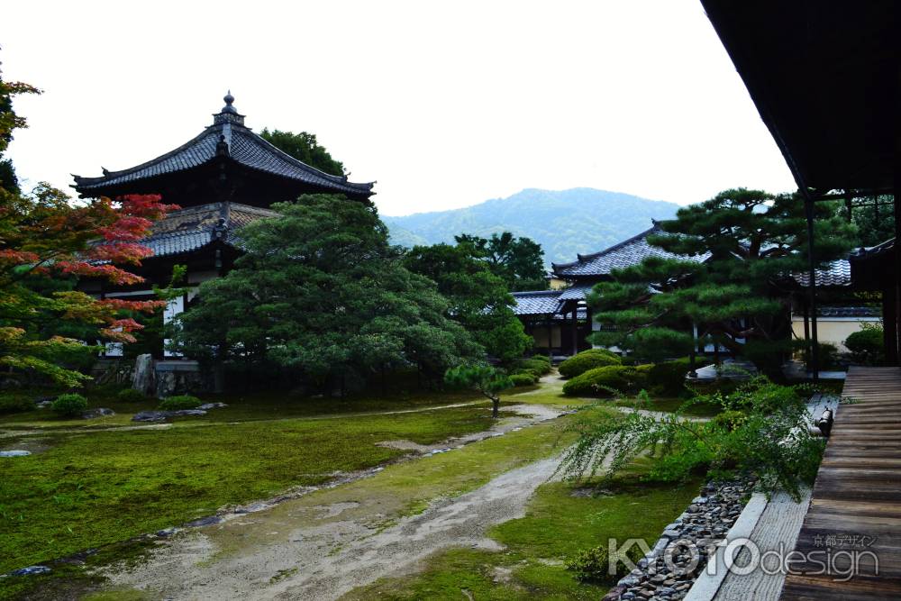 嵐山を借景に…　鹿王院庭園