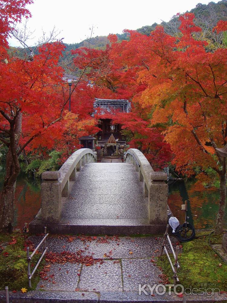 紅葉に包まれた弁天堂