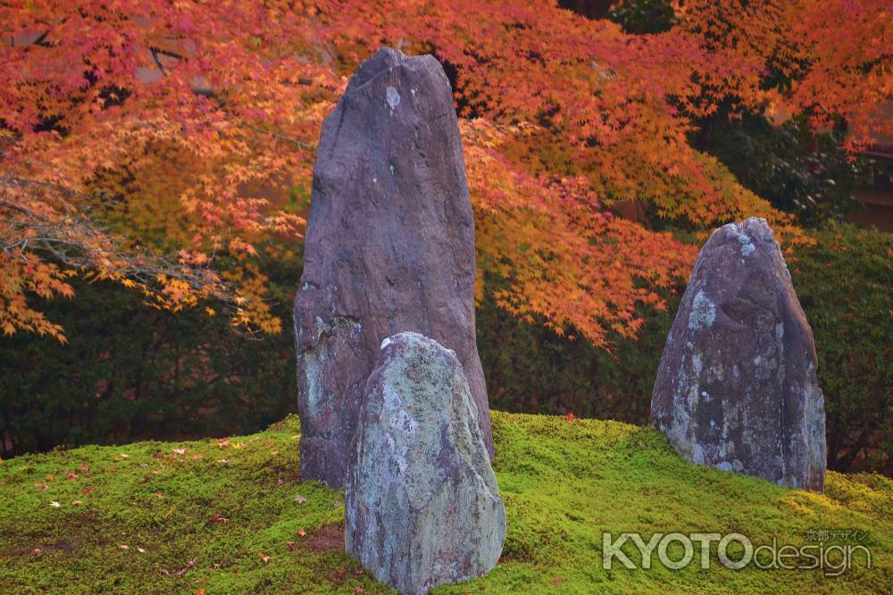 紅に映える石組