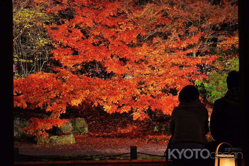 京都の秋、二人り占め。