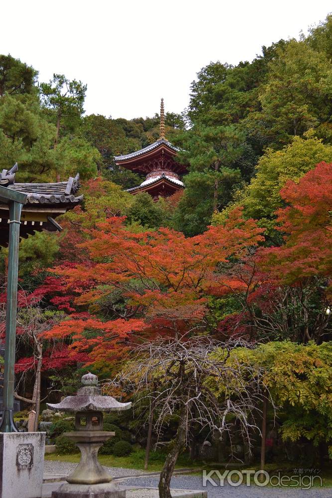 多宝塔と紅葉