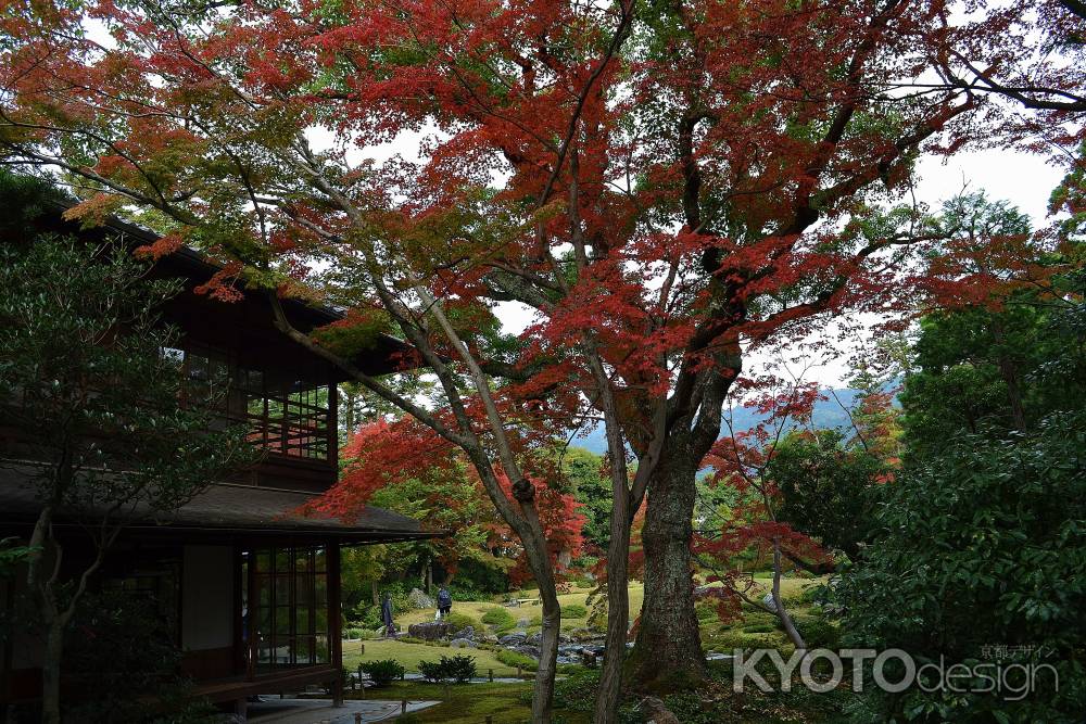 母屋と紅葉