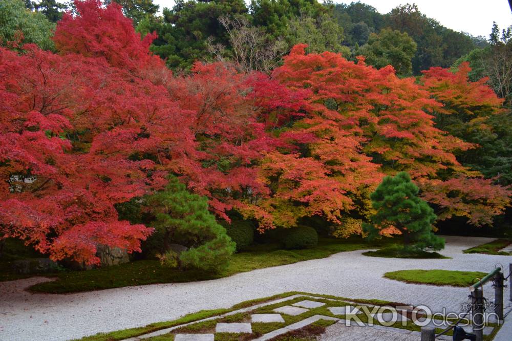 枯山水の紅葉