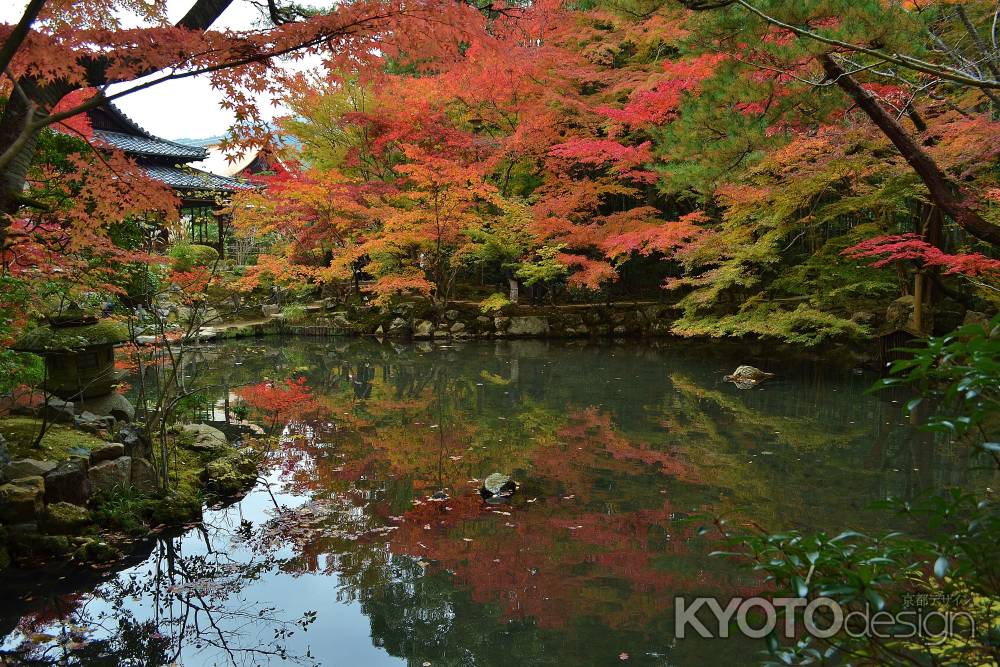 書院南庭の紅葉　その１