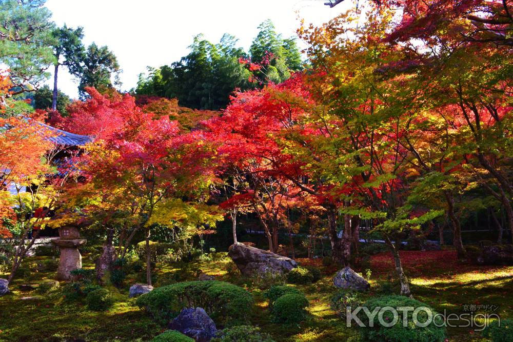 紅葉の十牛之庭