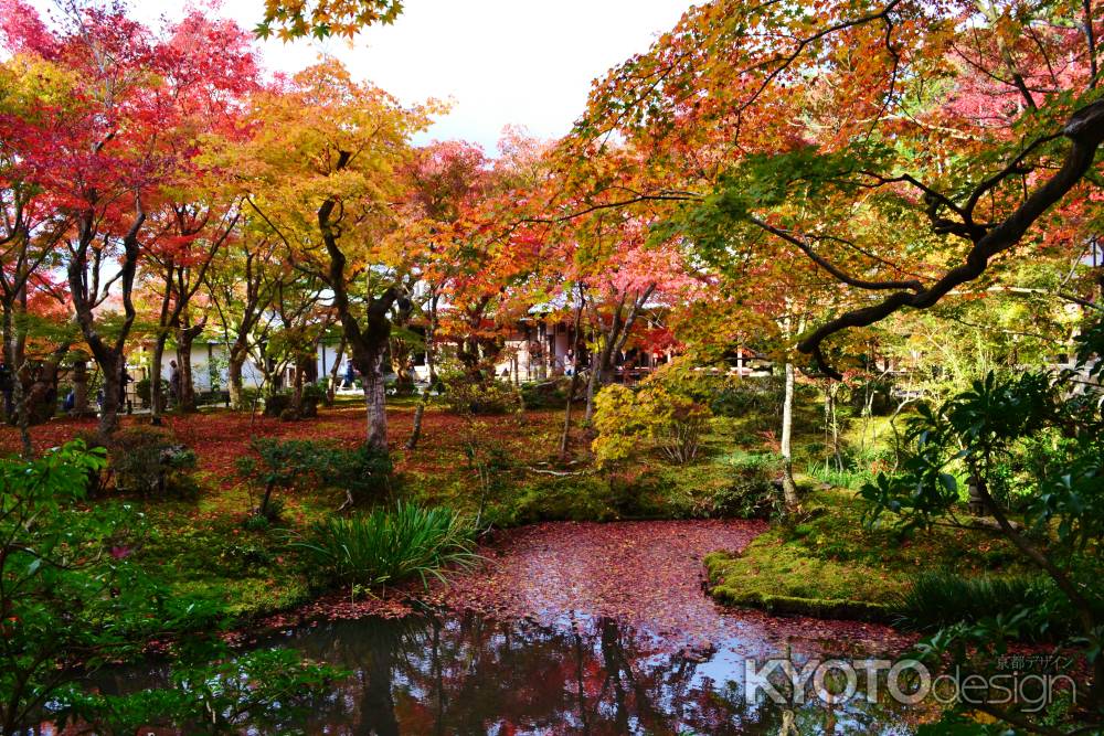 紅葉で染まる池