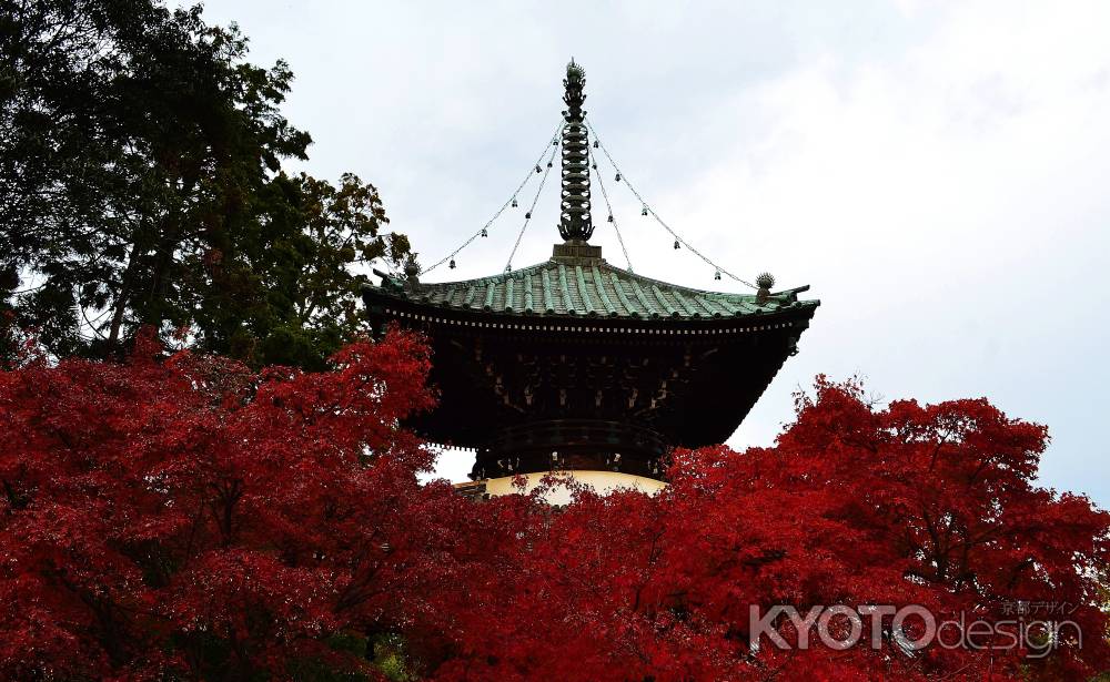 多宝塔と紅葉