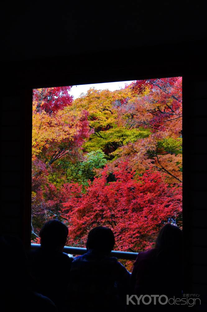 本堂から…　宝筐院