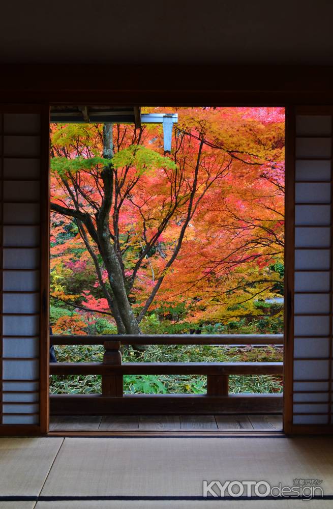 秋の額縁庭園　宝筐院