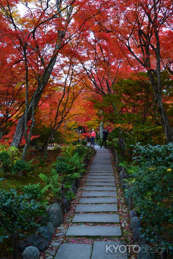 紅葉と石畳