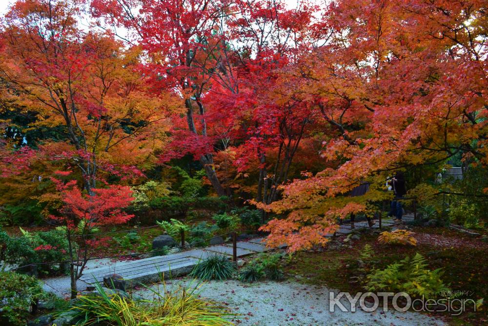 紅葉の庭　宝筐院