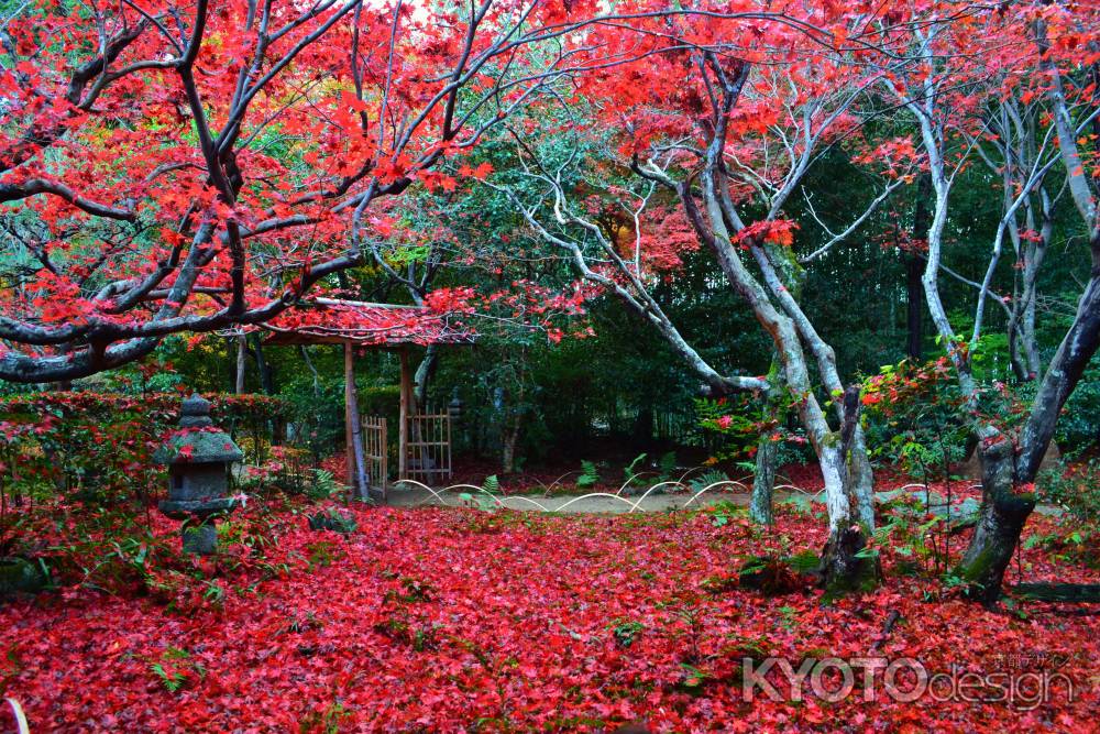 敷き紅葉　厭離庵