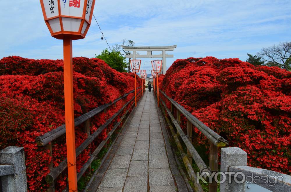 参道、真紅に染まる。