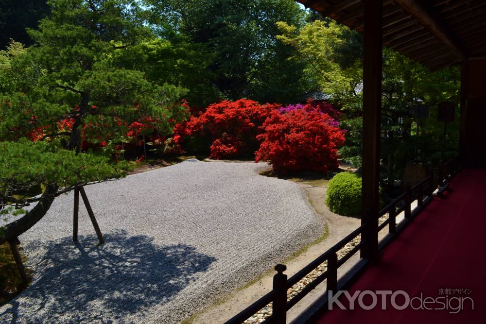 春の紅　曼殊院