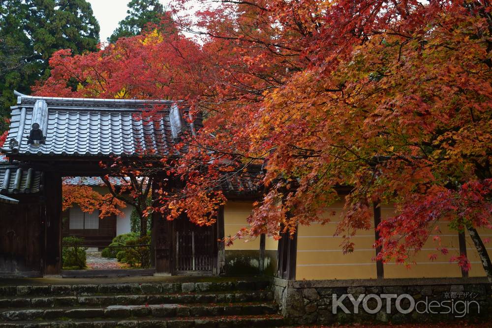 神護寺　本坊前の紅葉