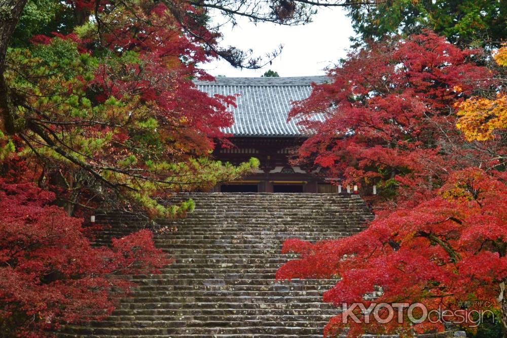 神護寺　石段の紅葉