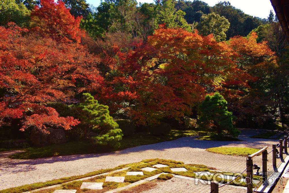 紅葉と苔と石畳