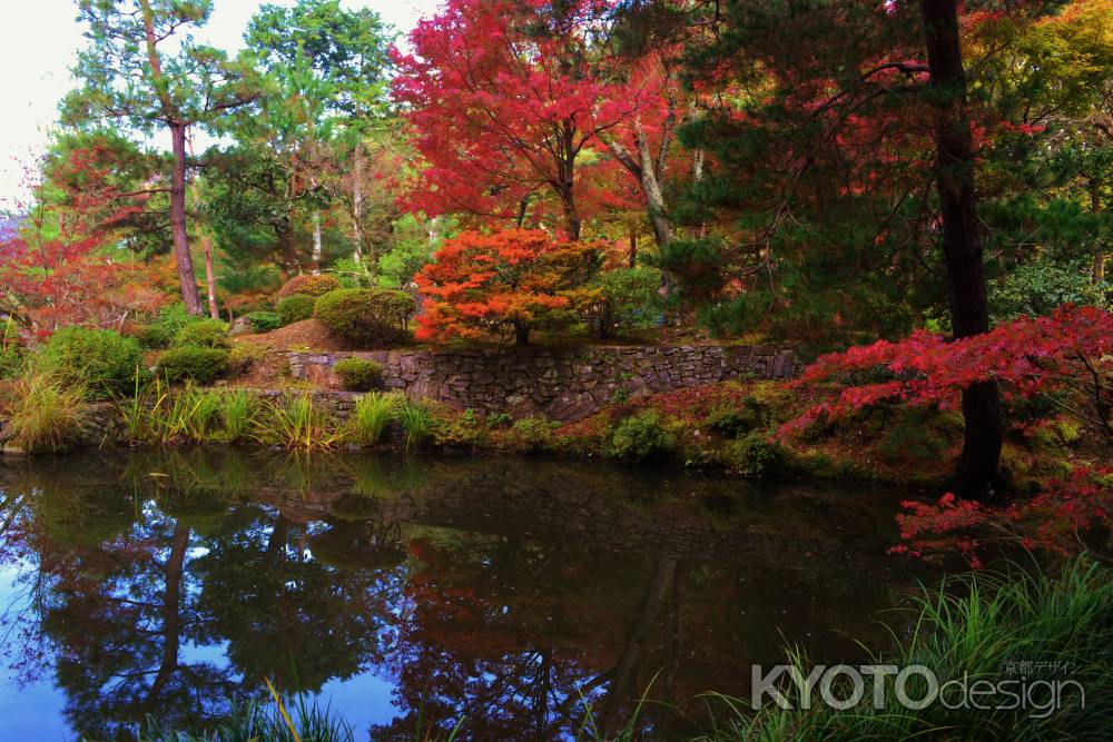 等持院の紅葉