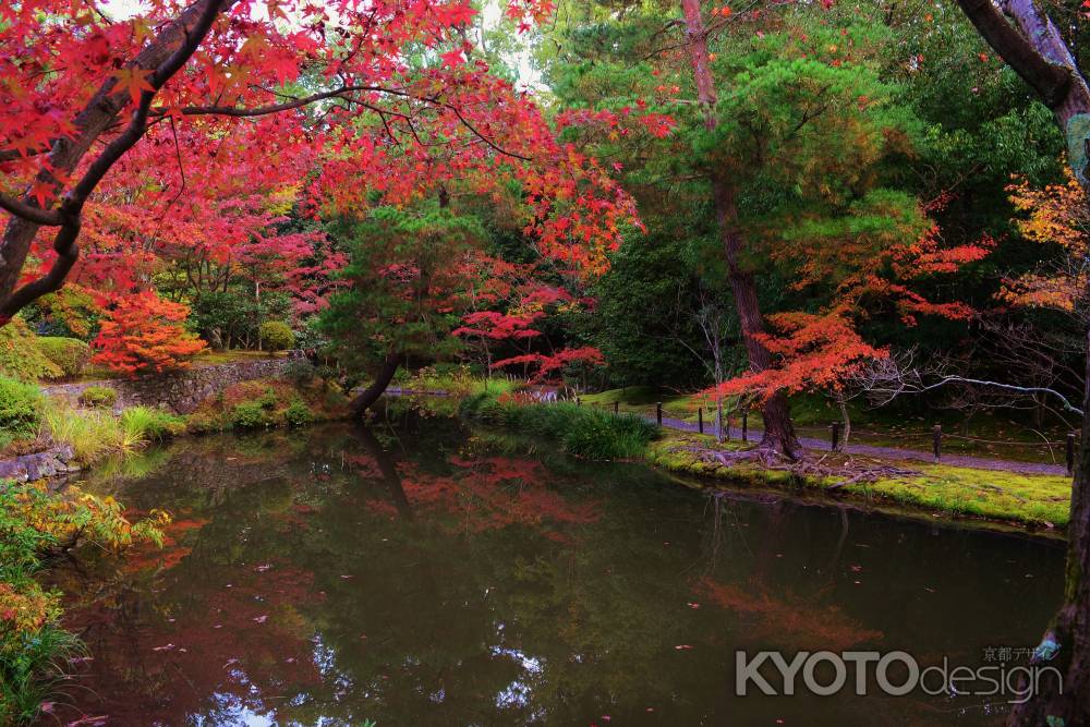 紅葉と心字池