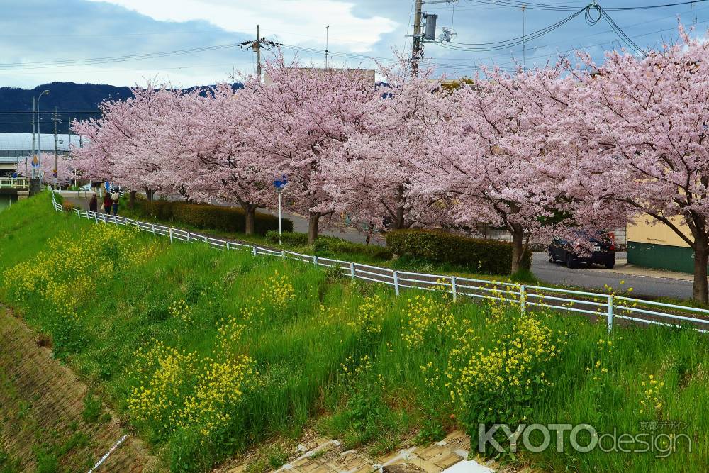 春の散歩道