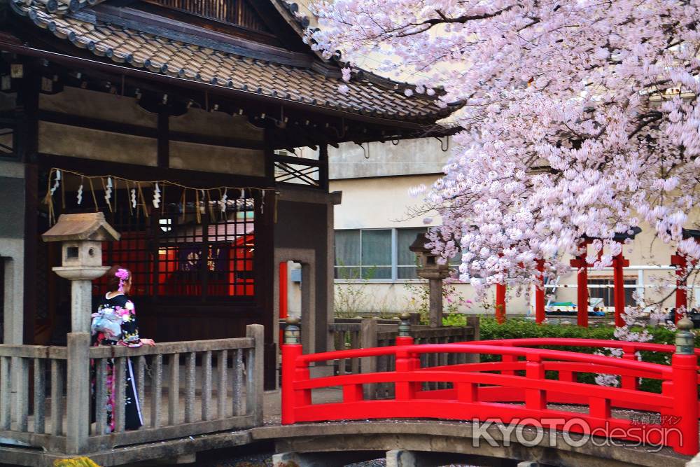 六孫王神社の桜