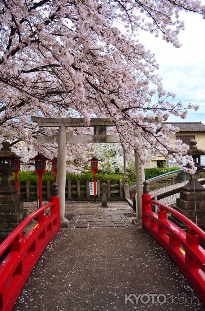 鳥居と桜