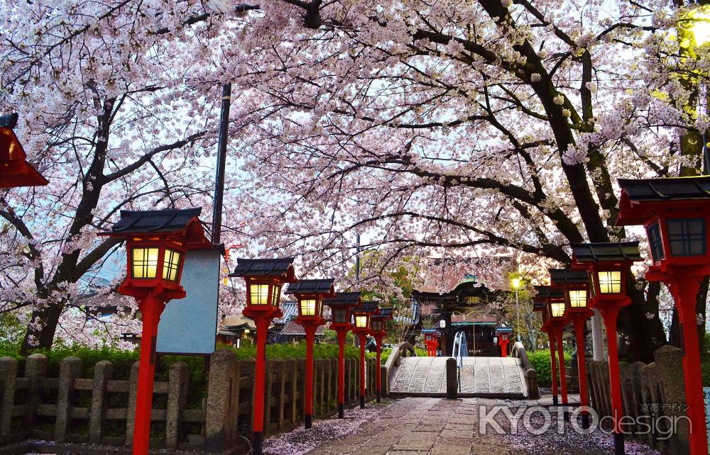 桜の参道