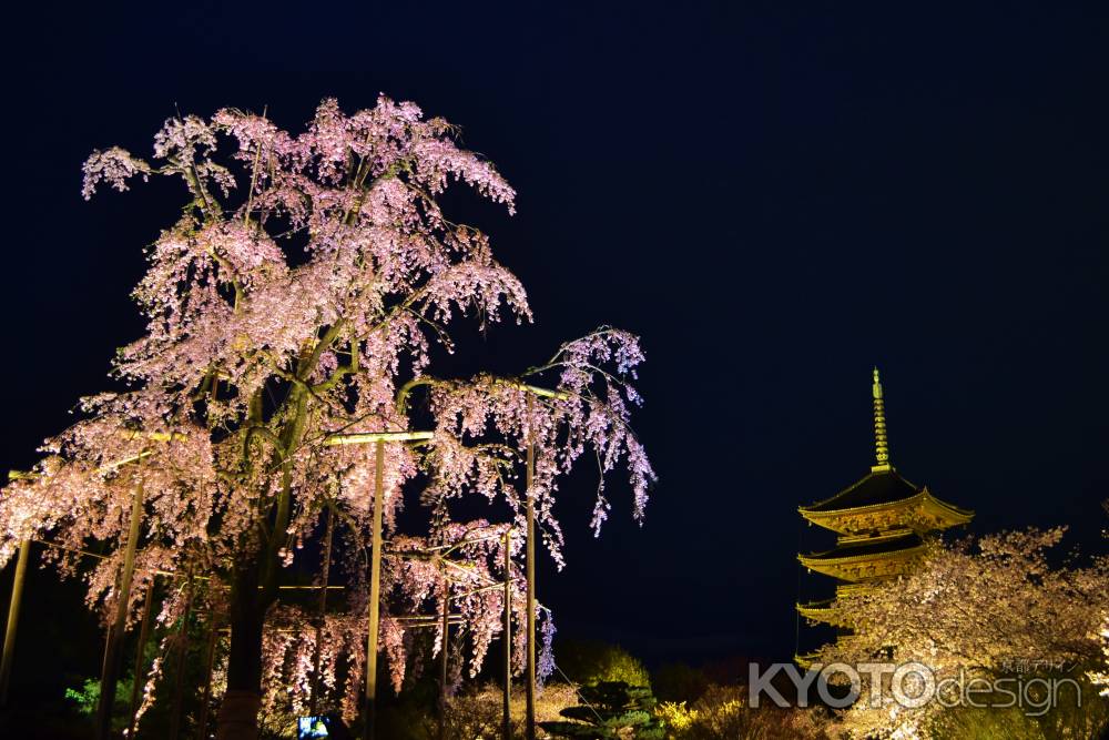 東寺　ライトアップ