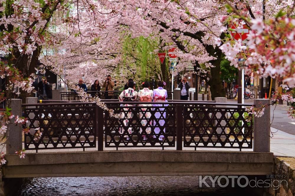 春の高瀬川