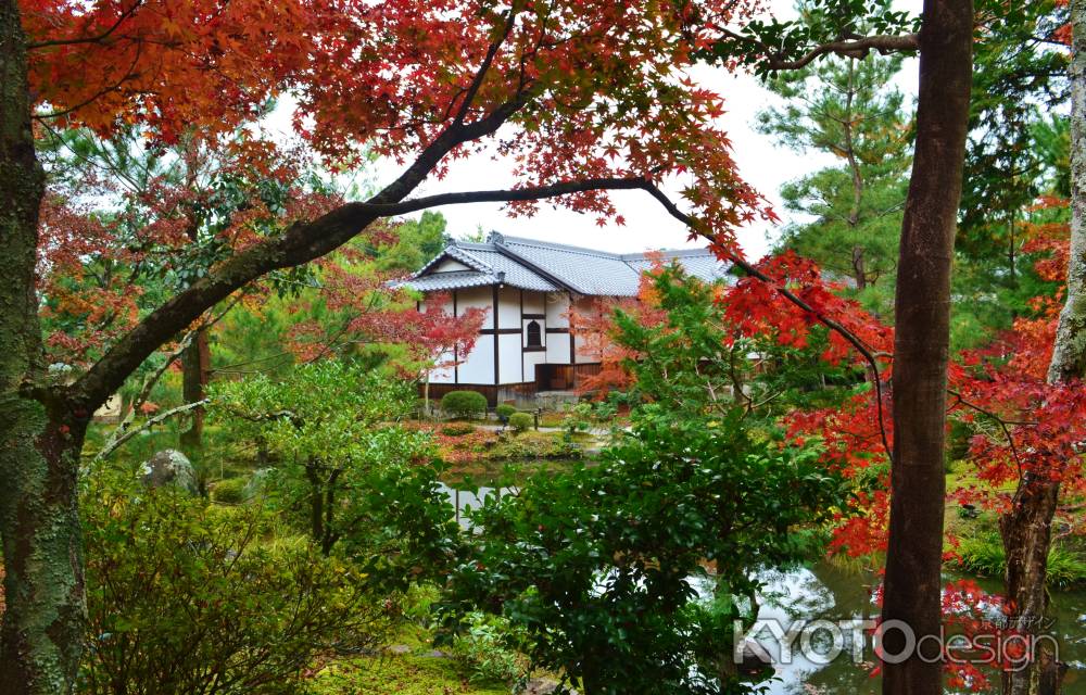 紅葉　等持院